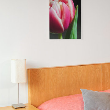 Pink and White Tulip Flower - Floral Nature Photography Wall Art Print