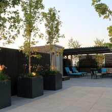 TKlandscape