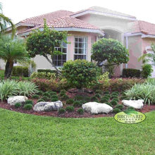 Landscape Ideas