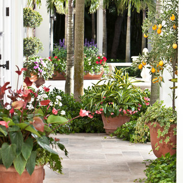 Tropical gardens