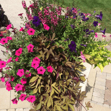 Annual flower arrangements