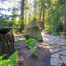 Tree Stump