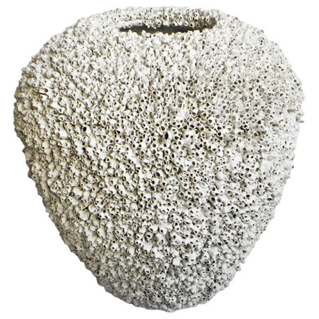 Large White Barnacle Shell Urn