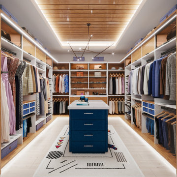 Contemporary Walk-In Closet with Blue Island