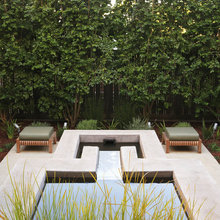 Privacy and shrubs