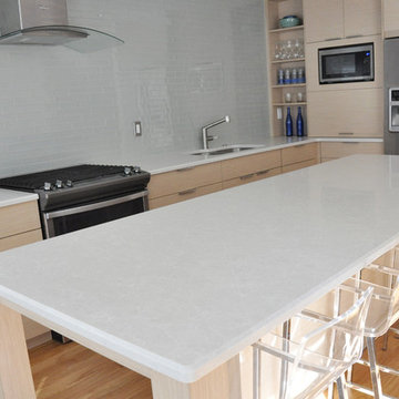 Modern Minimalist Kitchen