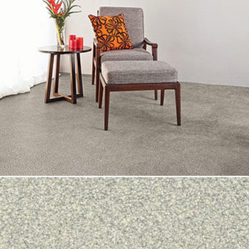 Masland This and That 9557 StainMaster Residential Carpet