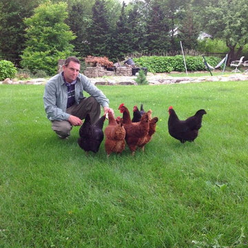 Hillsborough NJ. Chicken Coop, Enclosure and Surround