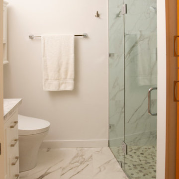 Venice Beach Renovation