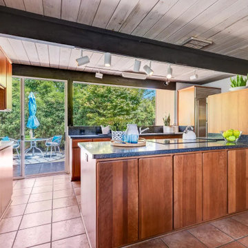 Eichler in Cupertino