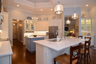 Example of a transitional kitchen design in Tampa
