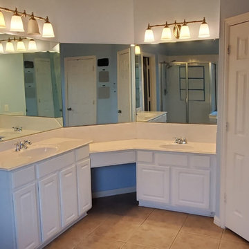 White - Full Bathroom Remodel