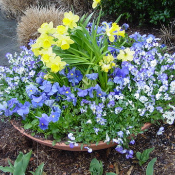Container Plantings
