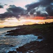 Vanessa Taylor's photo