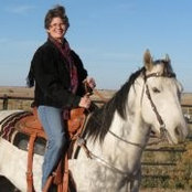 Karen Dinges Krumrine's photo
