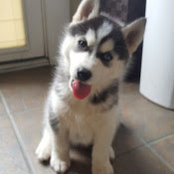 Kendra Johnson's photo