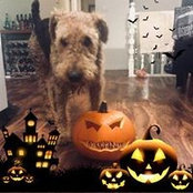 Bonnie Fleming's photo