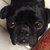 Lisa Kuck's photo