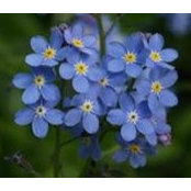 Janice Davis's photo