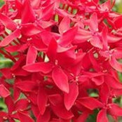 Fiona Red's photo