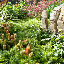 Verge and garden