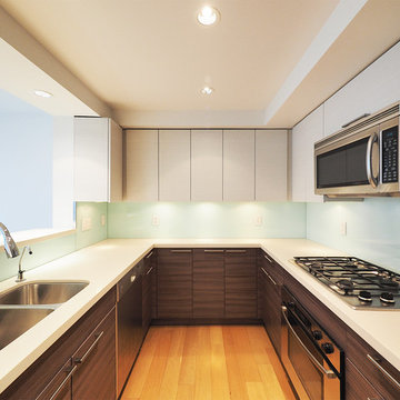 Coal Harbour - Interior Renovation
