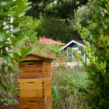 Atherton Pollinator Haven