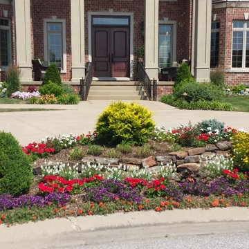 Annual Flowers