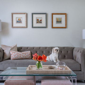 Casual, Elegant Living Room, Pelham, NY