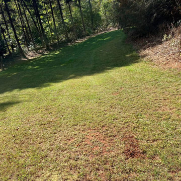Landscape and Outdoor Property Improvement