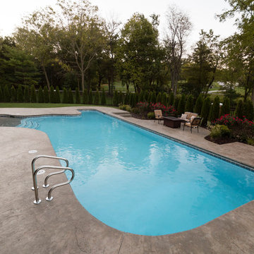 freeform beach entry with lap lane gunite pool