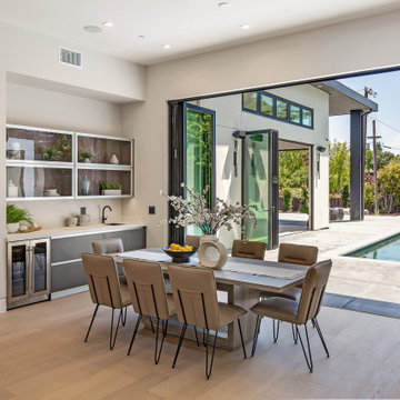 Panoramic Doors