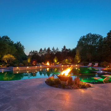 Barrington Hills, IL Freeform Perimeter Overflow with Perimeter Overflow Hot Tub