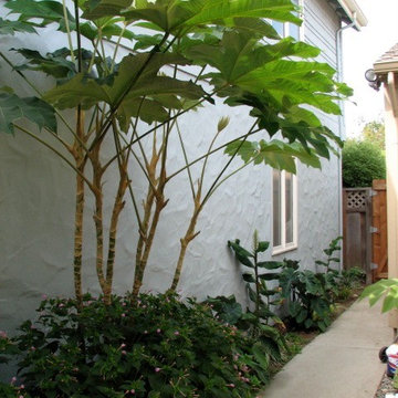 Surf bungalow jungle design
