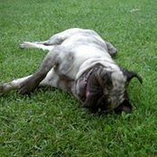 Foto de Hamish Nott
