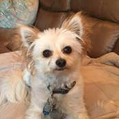 Judith Topel's photo