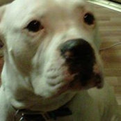 Chad Meeks's photo