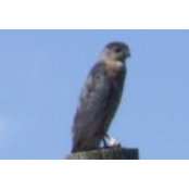 Connie Leduc's photo