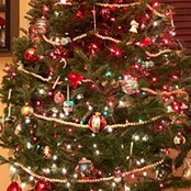 Linda Richardson's photo