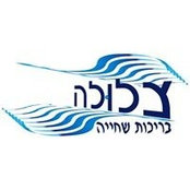 צלולה בריכות שחייה's photo