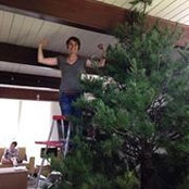 Tracy Bachmann's photo