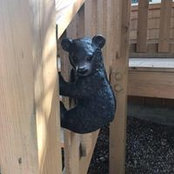 Lindsay Herrell's photo