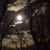 Jeanette Lauture's photo