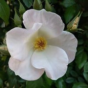 Marissa Anderson's photo