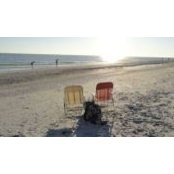 Rose Coughlin's photo