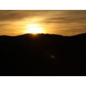 Kathey Hollifield's photo
