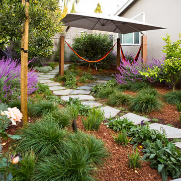 San Jose Modern