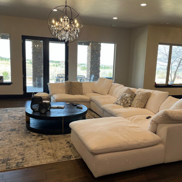 Basement Media Room