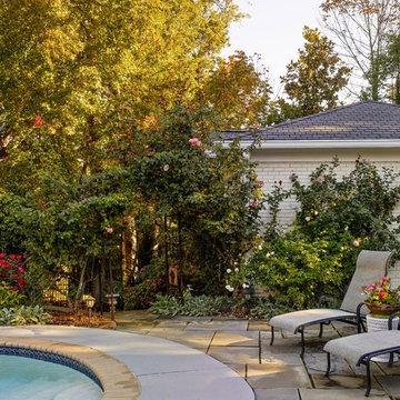 Historic Myers Park Sun Room & Patio