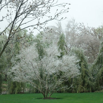 AC Dwellings Gardens